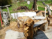 11 Cerisiers en fleurs dans l&#39;Ortenau Mösbach 10 04 2016 91